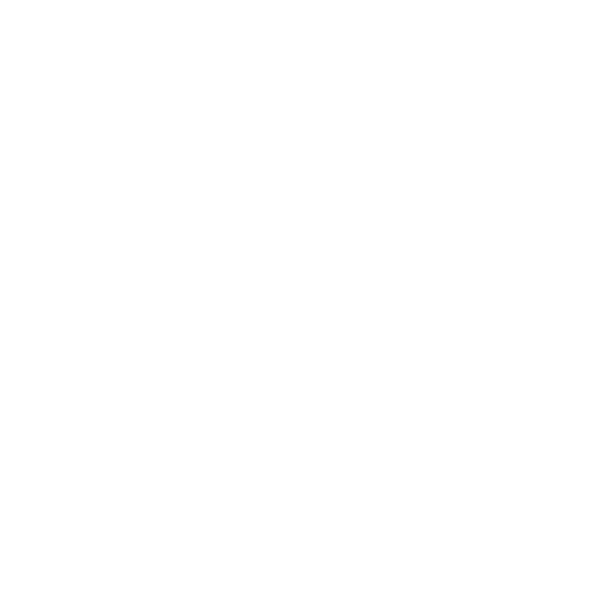 ICON ISO
