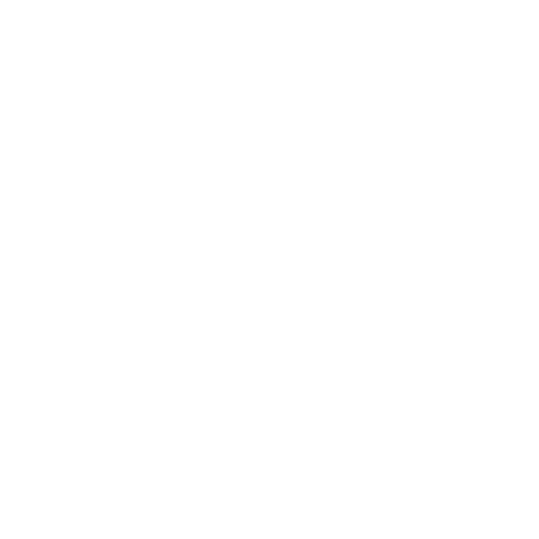 ICON GLOBAL