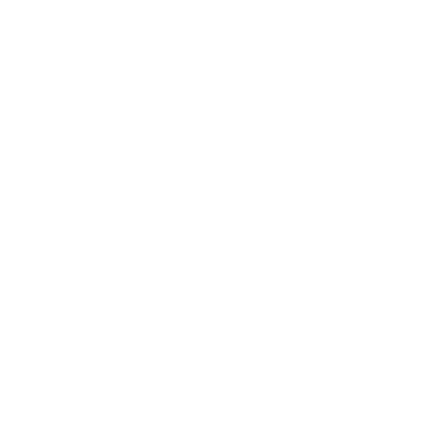 ICON ISRAEL
