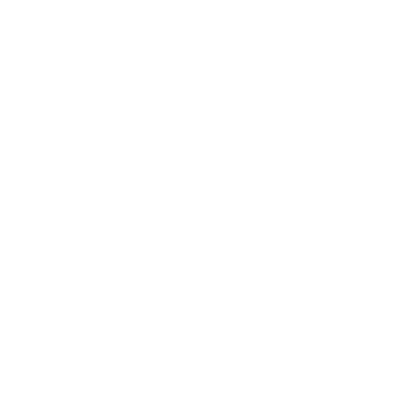 ICON 2M